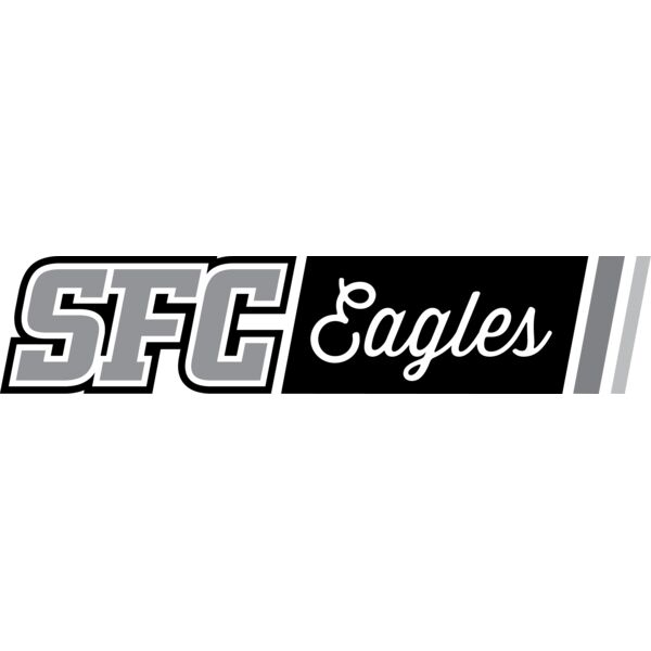 SFC Eagles GreyBlack Blocks Thumbnail